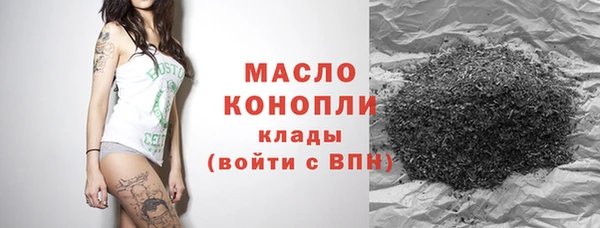 стафф Ельня