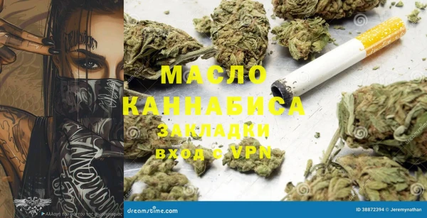 стафф Ельня