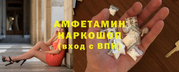 стафф Ельня