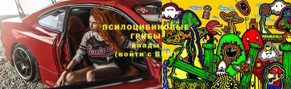 стафф Елабуга