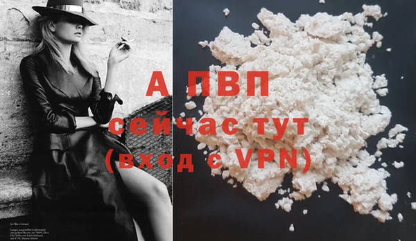 стафф Ельня