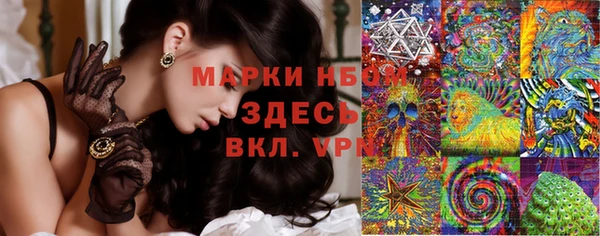 стафф Елабуга