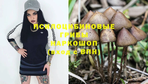 PSILOCYBIN Приозерск