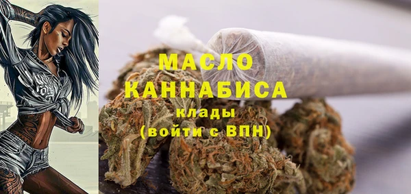 стафф Ельня