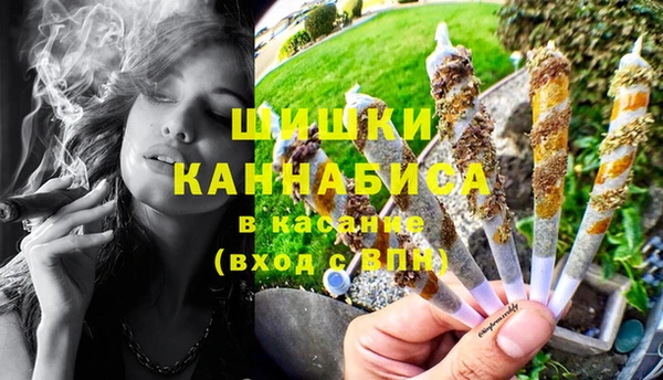 стафф Ельня