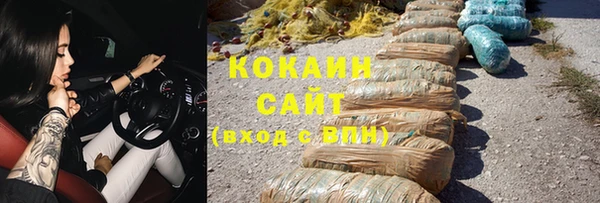 стафф Ельня