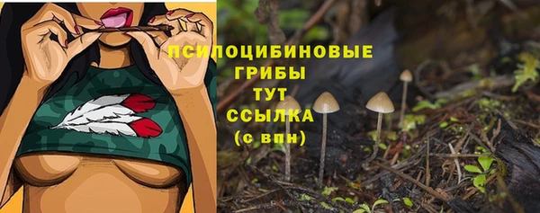 стафф Ельня