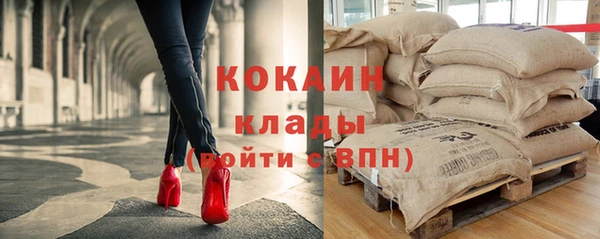 стафф Ельня