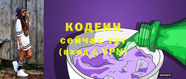 стафф Ельня