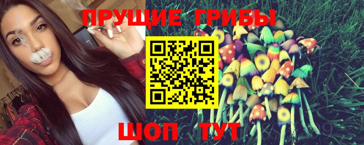 Галлюциногенные грибы ЛСД  Вход с VPN  Реж  Галлюциногенные грибы мицелий 